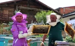 Anzer Balında Rekor Sağım İşlemleri Başladı